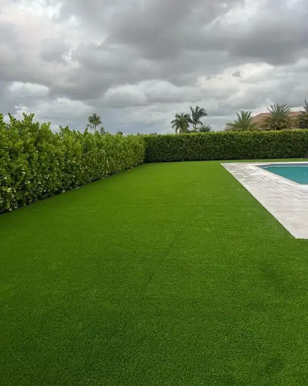 Artificial turf landscaping, project 38